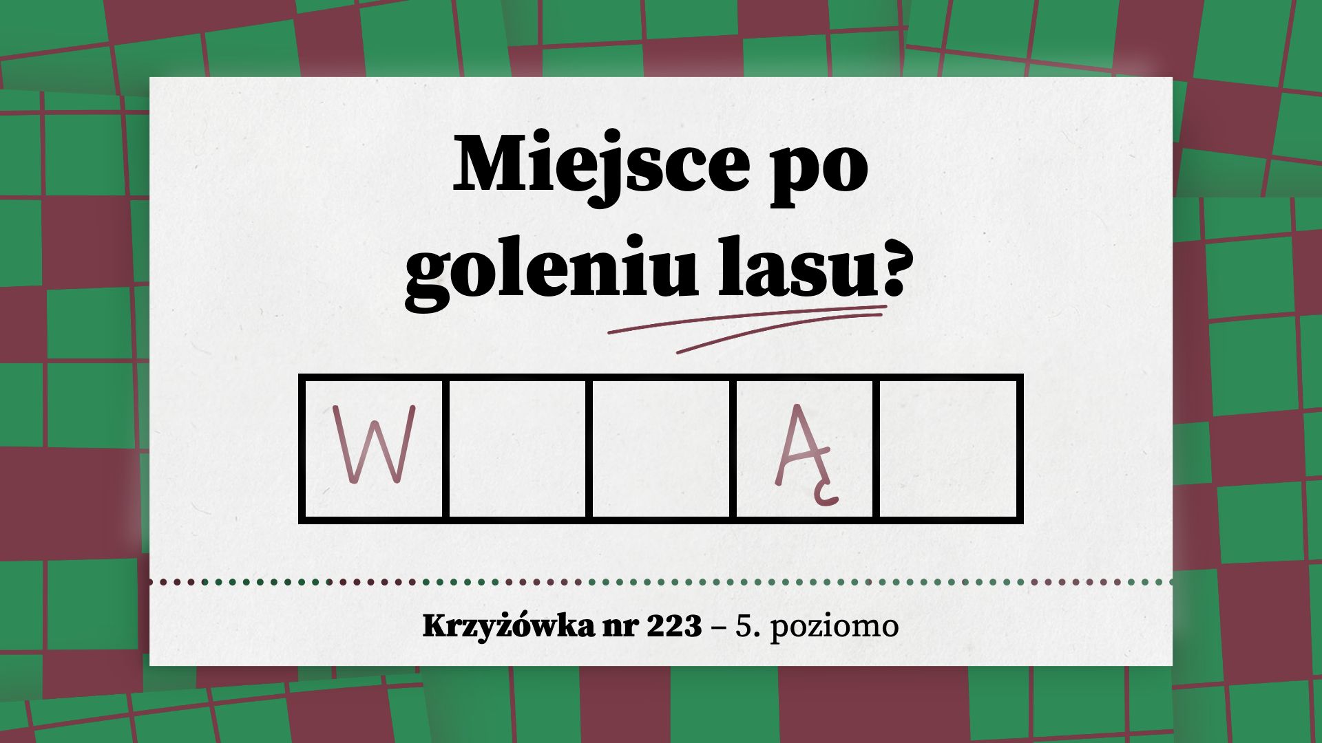 Miejsce po goleniu lasu