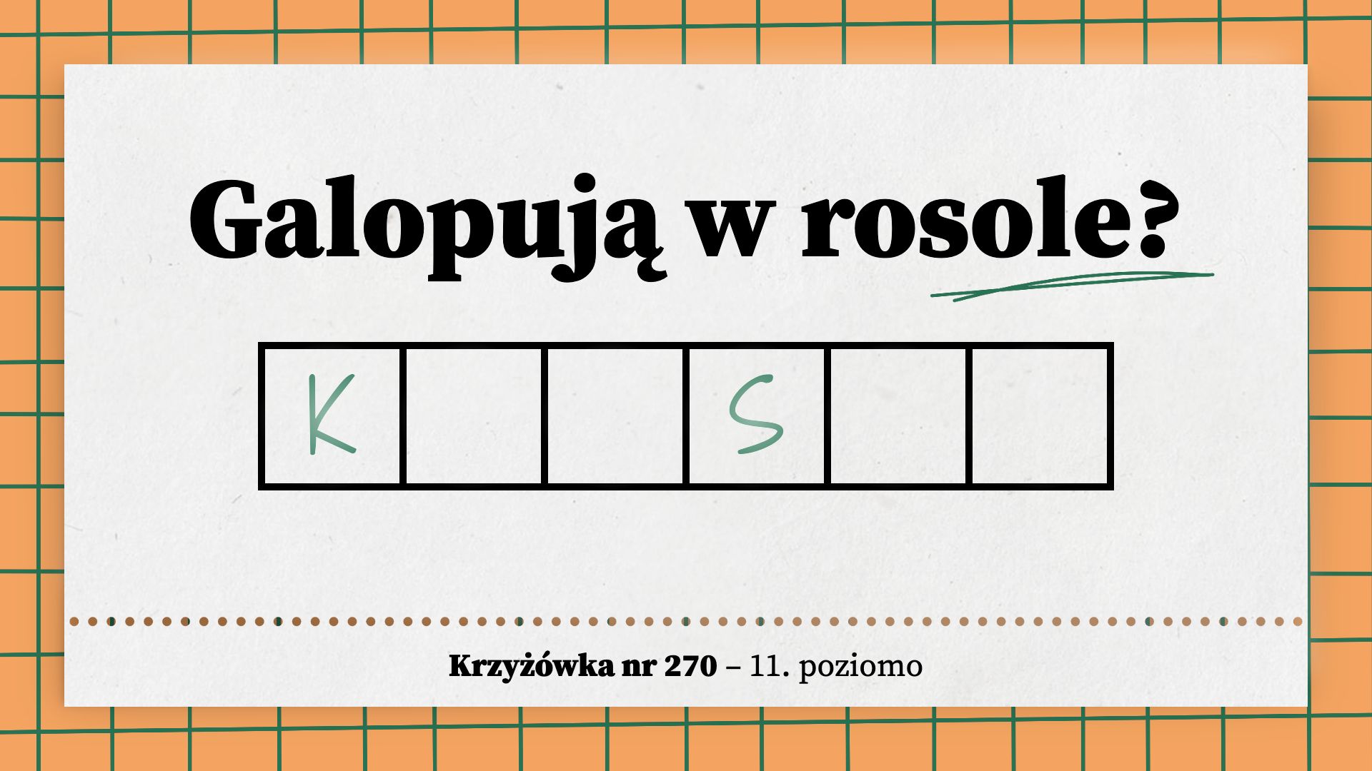 Galopują w rosole