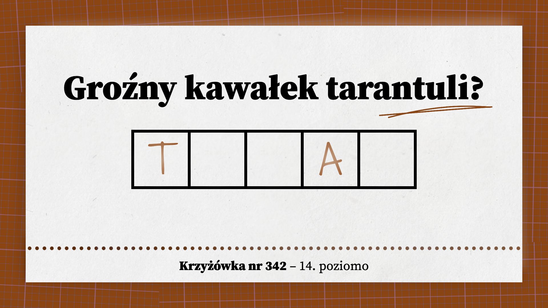 Groźny kawałek tarantuli