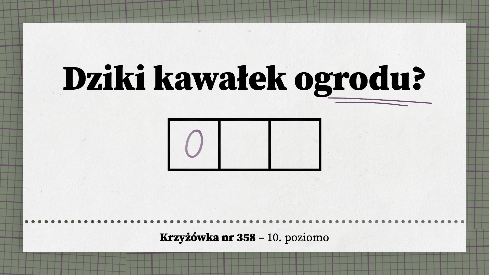 Dziki kawałek ogrodu